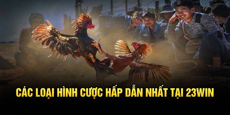 Các loại hình cược hấp dẫn nhất tại 23win