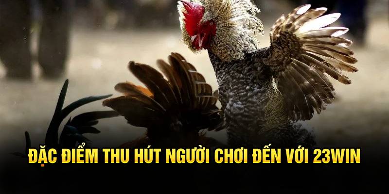 Đặc điểm thu hút người chơi đến với 23win