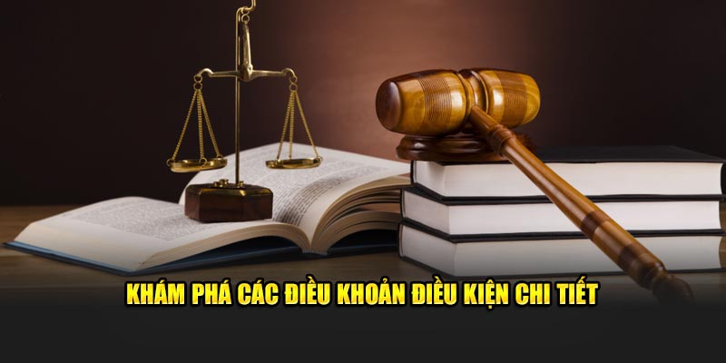 Khám phá các điều khoản điều kiện chi tiết